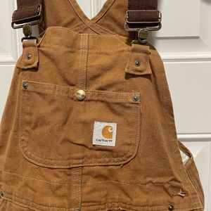 Carhartt insulated bib/overalls